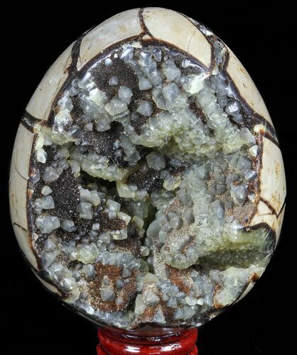 Septarian Dragon Egg Geode - Black & Yellow Crystals #57430